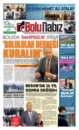 BOLU NABIZ