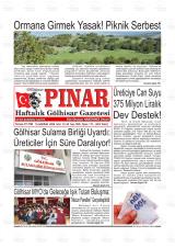 GÖLHİSAR PINAR