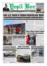 YEŞİL BOR
