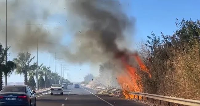 Şanlıurfa karayolunda kuru ot yangını sürücülere kâbus oldu