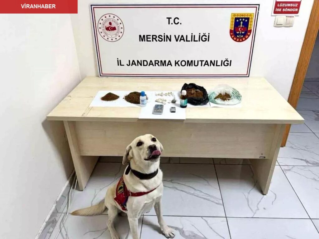 Mersin’de Uyuşturucu Ticareti Yapan 5 Şüpheli Tutuklandı