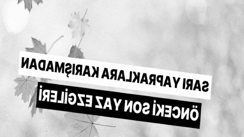 Sarı Yapraklara Karışmadan Önceki Son Yaz Ezgileri