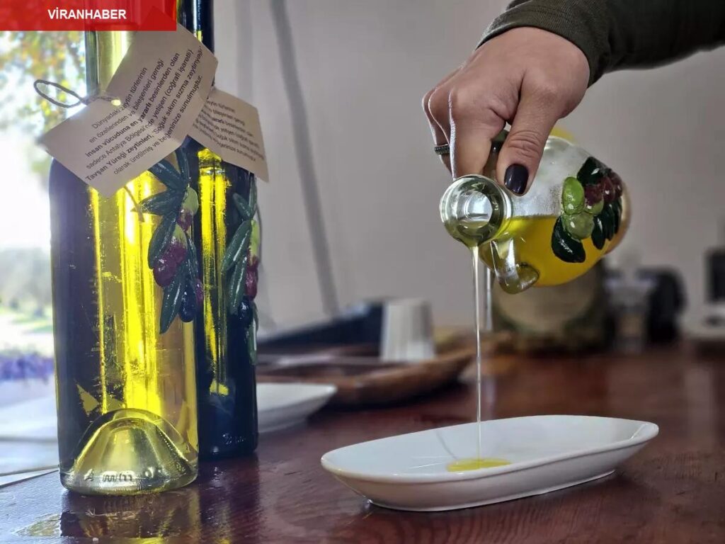 Antalya’da Tavşan Yüreği Zeytinyağı Litresi 1500 TL