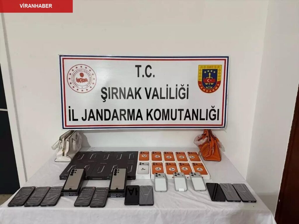 Şırnak’ta kaçakçılık ve asayiş operasyonlarında 69 kuşkulu hakkında süreç yapıldı